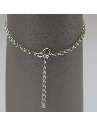 Pulser Virgen Pilar Plata Ley envío gratis