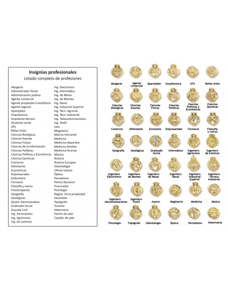 insignias De Profesiones Oro 1ª Ley 18 Kilates