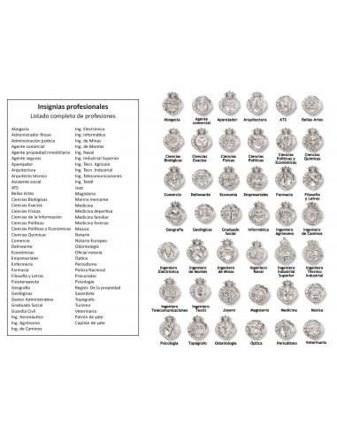 Insignias De Profesiones Plata 1ª Ley 925mm