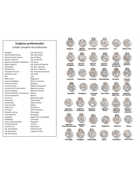 Insignias De Profesiones Plata 1ª Ley 925mm