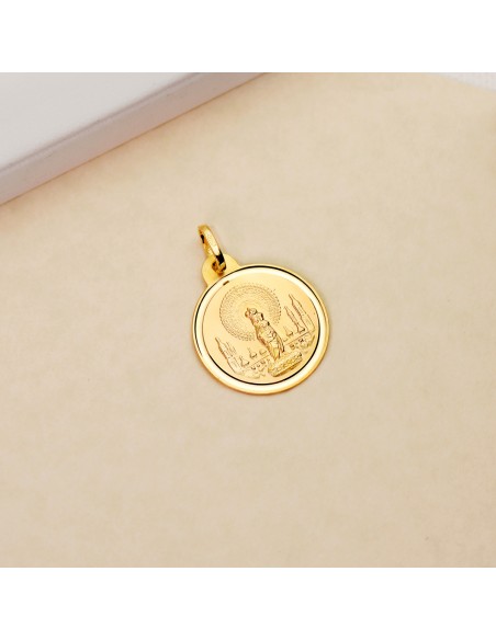 Medalla Virgen del Pilar Oro 1ª Ley